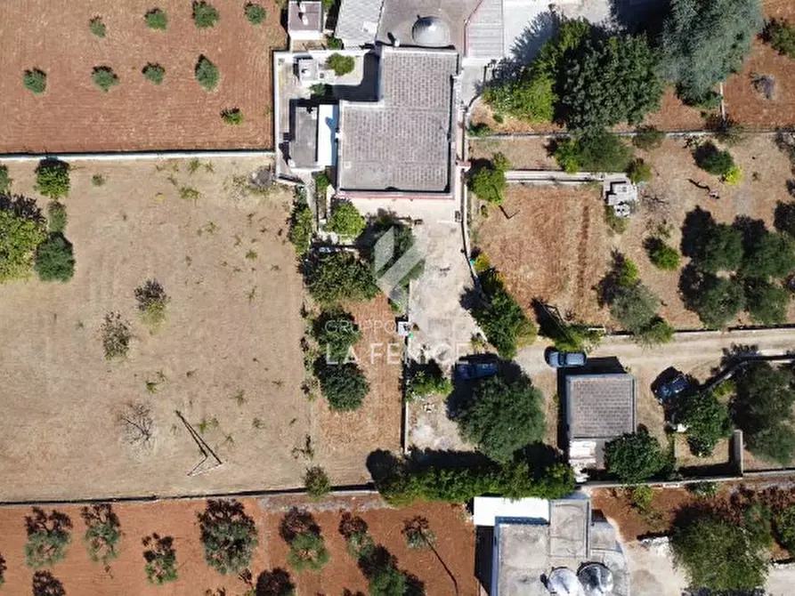 Immagine 9 di Villa in vendita  in Strada Paretone 278 a Martina Franca