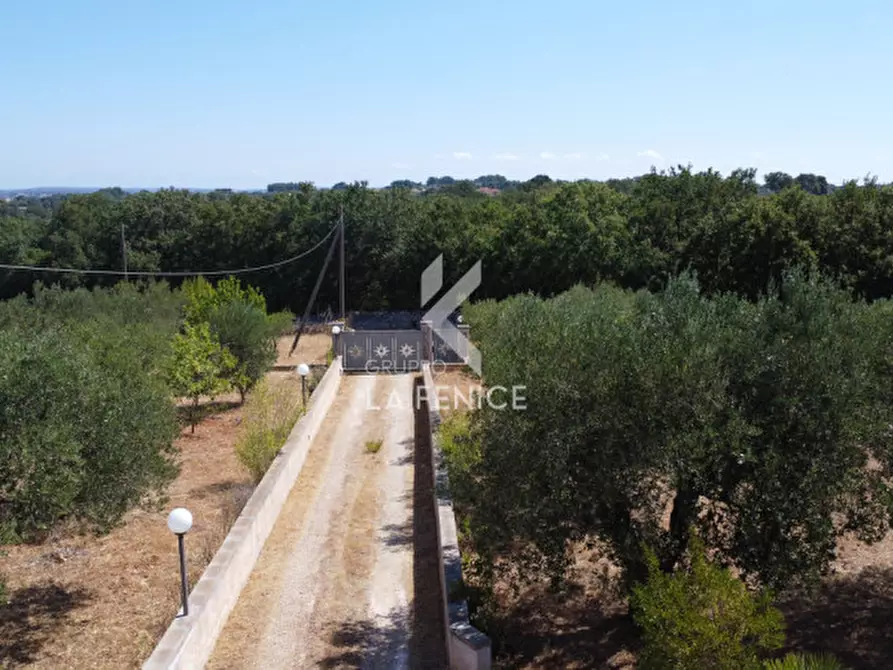 Immagine 10 di Villa in vendita  in Strada Paretone 278 a Martina Franca