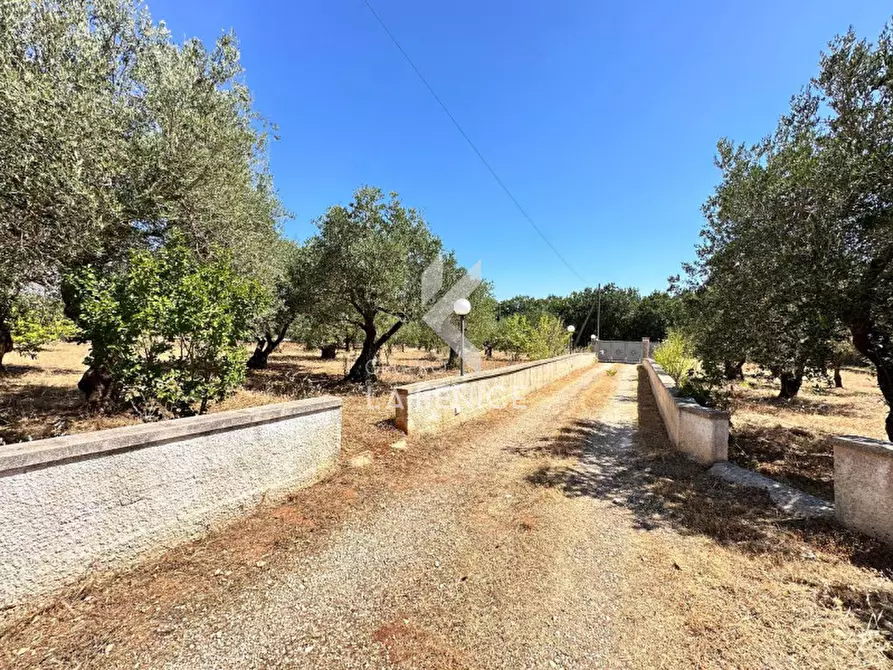 Immagine 11 di Villa in vendita  in Strada Paretone 278 a Martina Franca