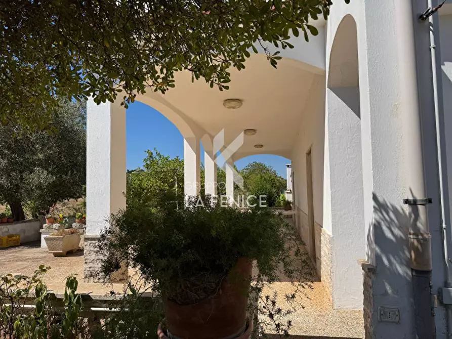 Immagine 12 di Villa in vendita  in Strada Paretone 278 a Martina Franca