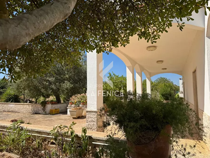 Immagine 13 di Villa in vendita  in Strada Paretone 278 a Martina Franca