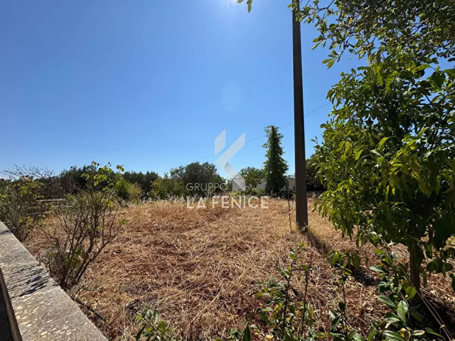 Immagine 38 di Villa in vendita  in Strada Paretone 278 a Martina Franca