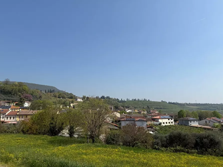 Immagine 11 di Rustico / casale in vendita  in San Michele Arcangelo 3 a Villaga