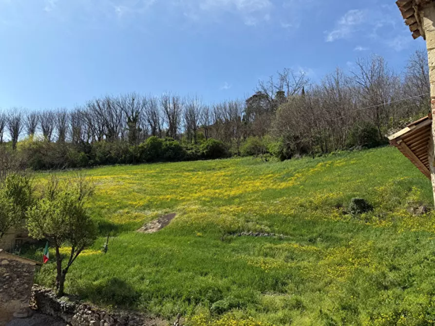 Immagine 13 di Rustico / casale in vendita  in San Michele Arcangelo 3 a Villaga