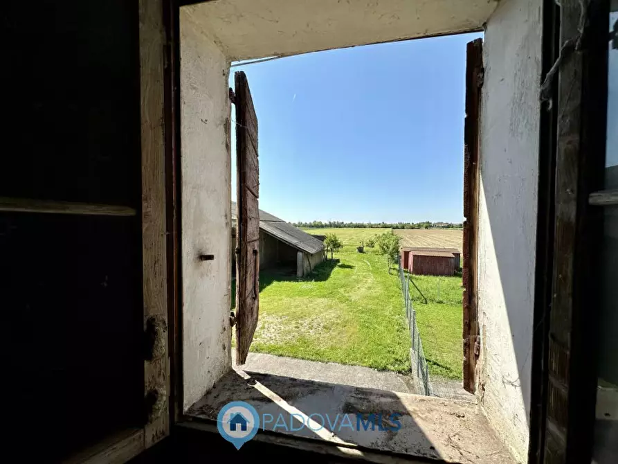 Immagine 10 di Rustico / casale in vendita  in Via Gruato a Casalserugo