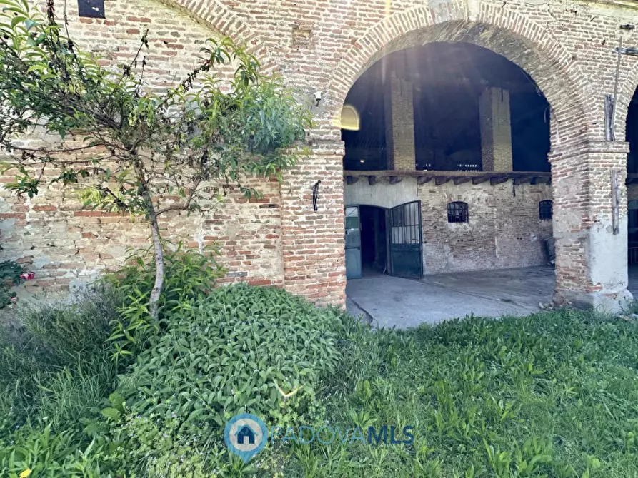 Immagine 17 di Rustico / casale in vendita  in Via Gruato a Casalserugo