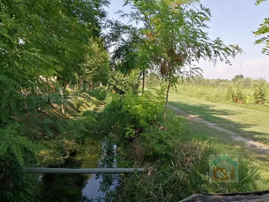 Immagine 2 di Terreno in vendita  in via villa snc a Bagnaria Arsa