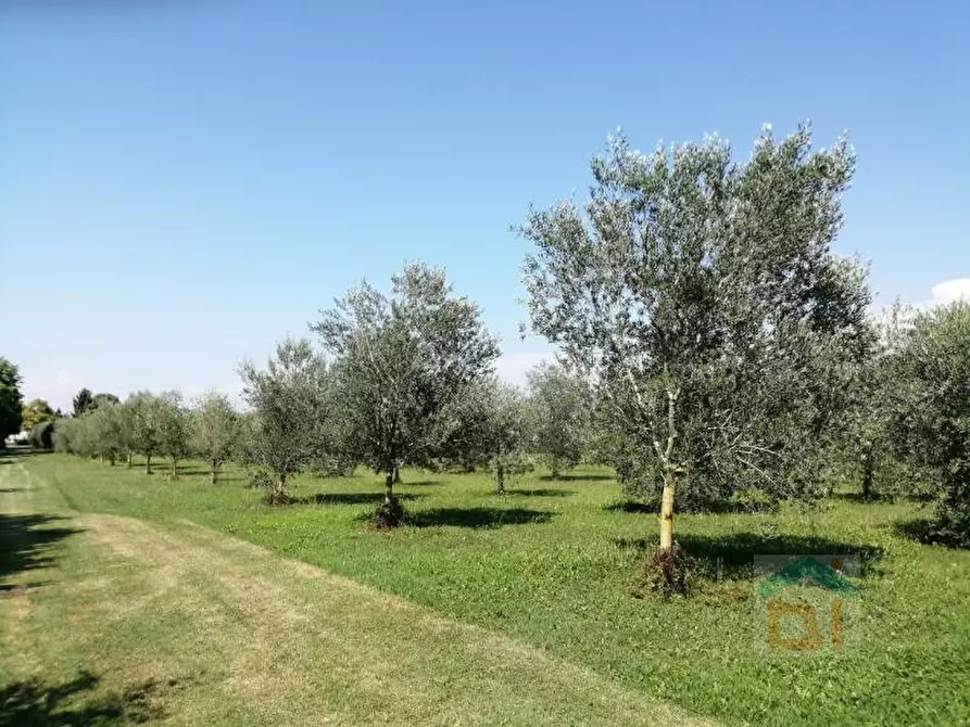 Immagine 8 di Terreno in vendita  in via villa snc a Bagnaria Arsa