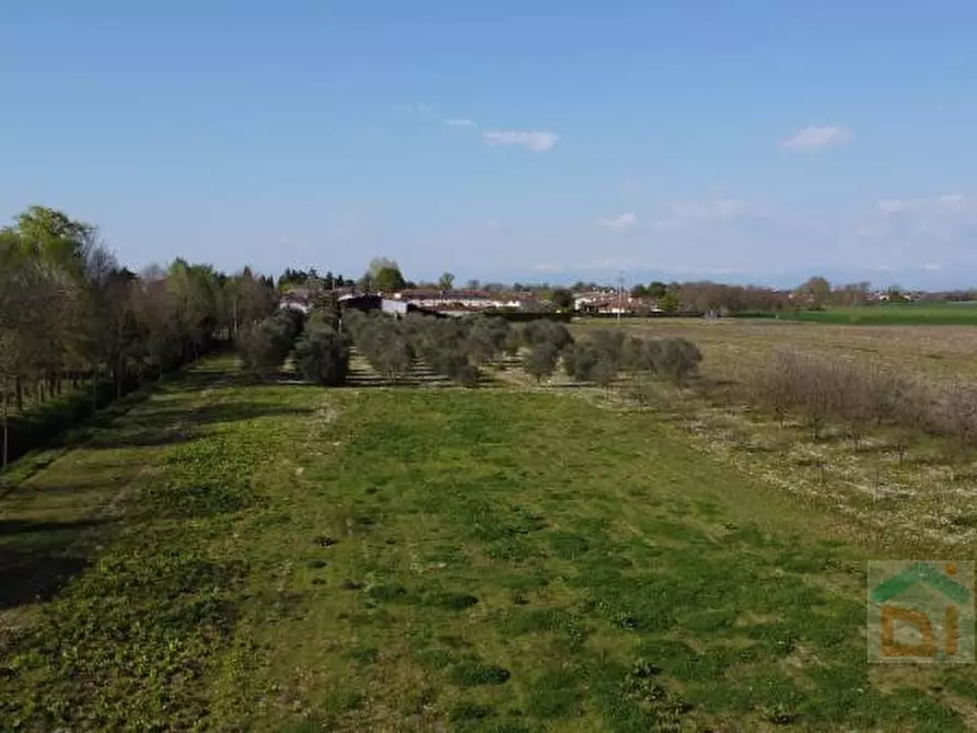 Immagine 12 di Terreno in vendita  in via villa snc a Bagnaria Arsa