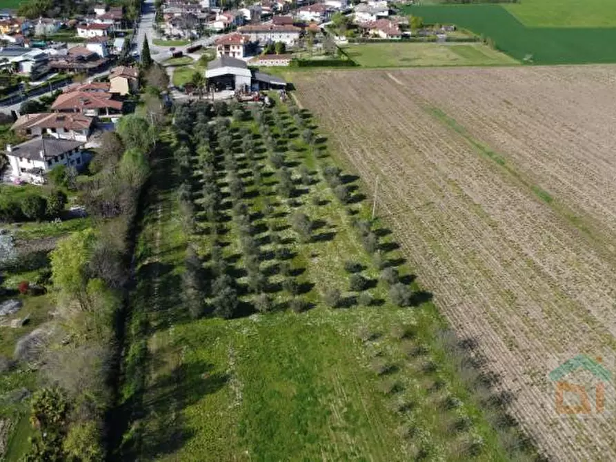Immagine 13 di Terreno in vendita  in via villa snc a Bagnaria Arsa