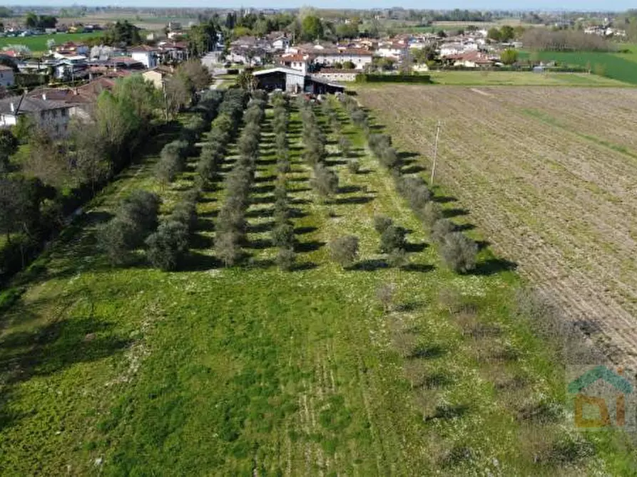 Immagine 15 di Terreno in vendita  in via villa snc a Bagnaria Arsa