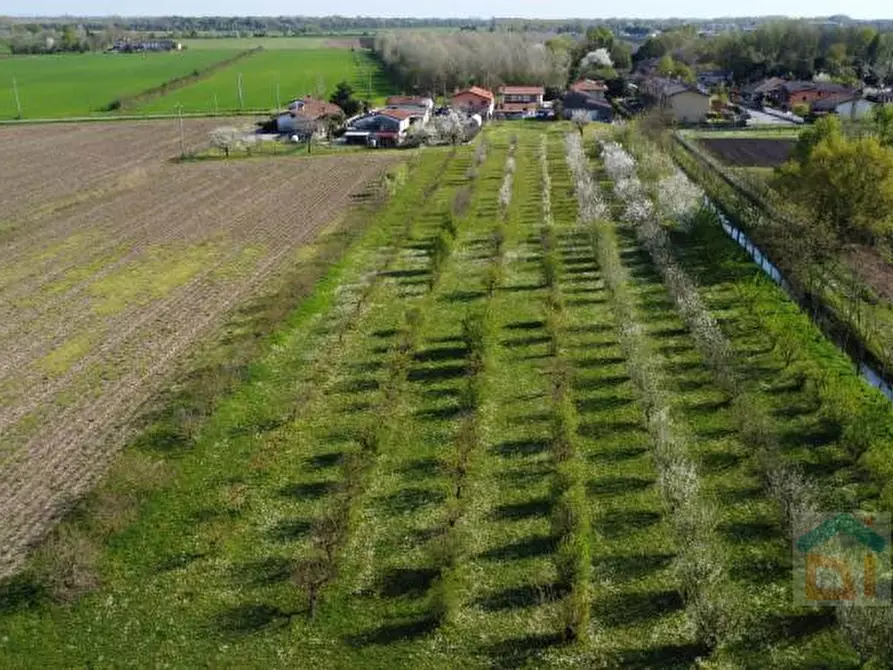 Immagine 16 di Terreno in vendita  in via villa snc a Bagnaria Arsa