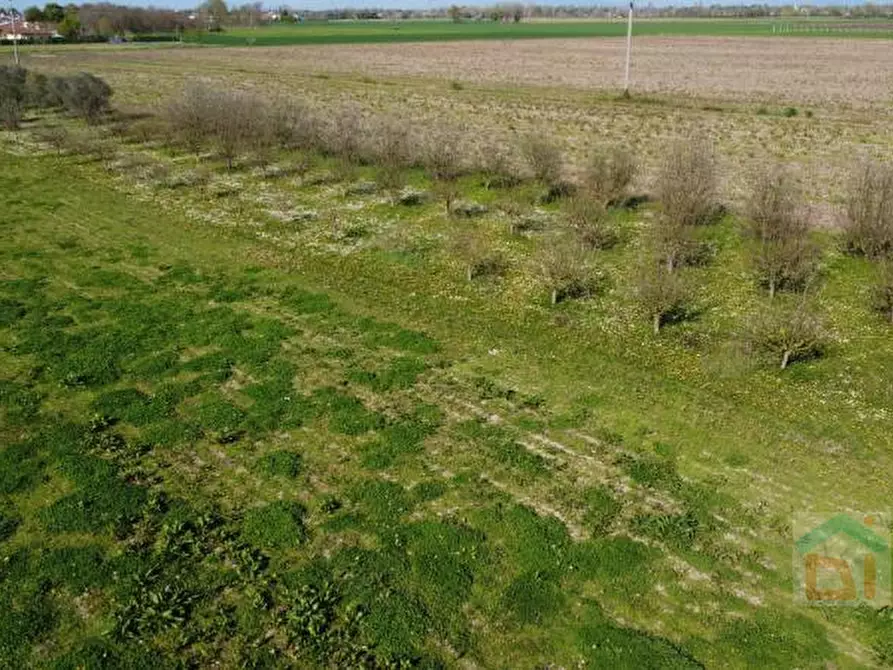 Immagine 18 di Terreno in vendita  in via villa snc a Bagnaria Arsa