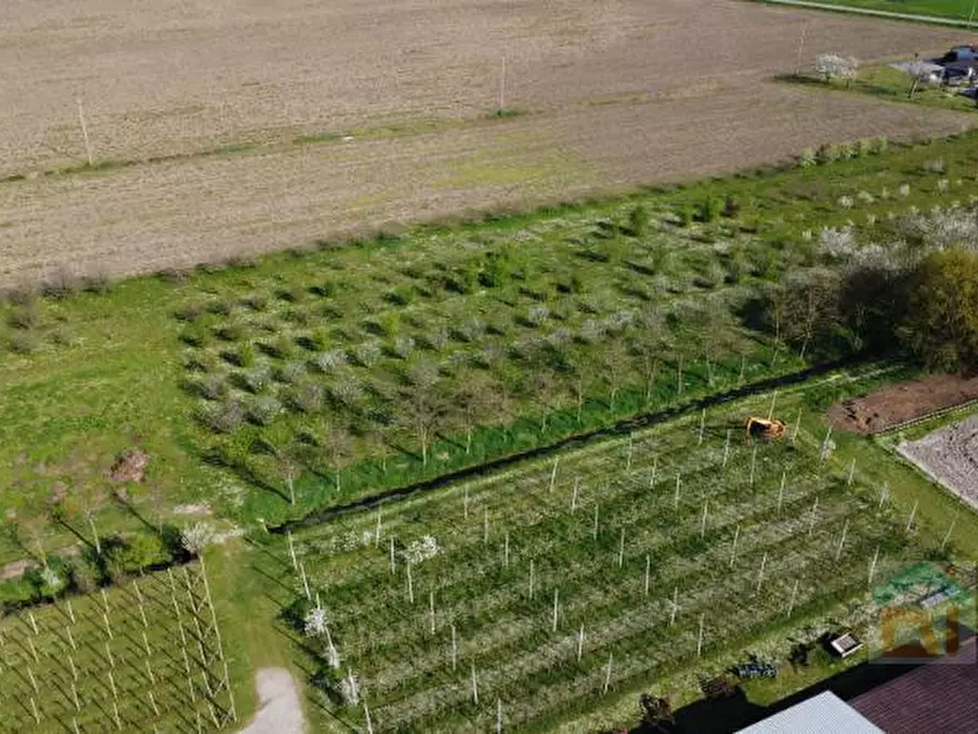 Immagine 19 di Terreno in vendita  in via villa snc a Bagnaria Arsa
