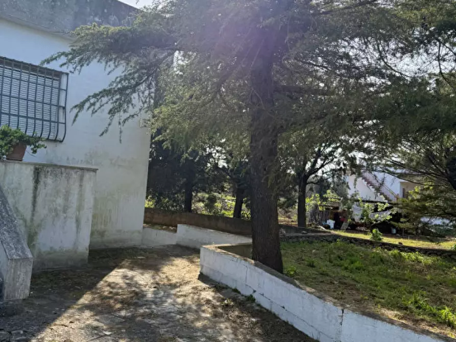 Immagine 28 di Villa in vendita  in sp581 a Ceglie Messapico