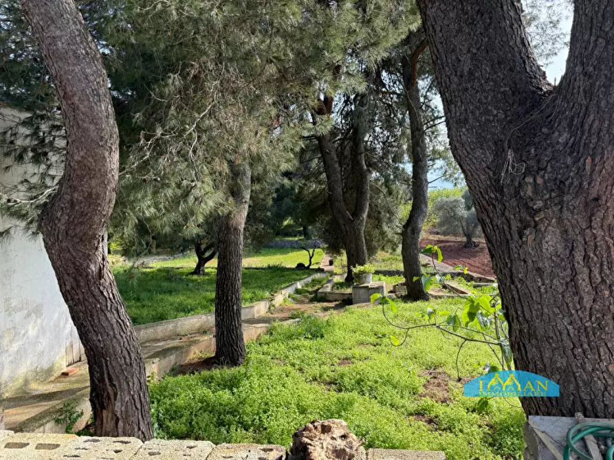 Immagine 31 di Villa in vendita  in sp581 a Ceglie Messapico
