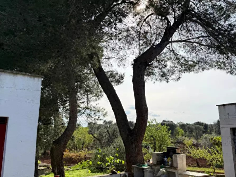 Immagine 32 di Villa in vendita  in sp581 a Ceglie Messapico