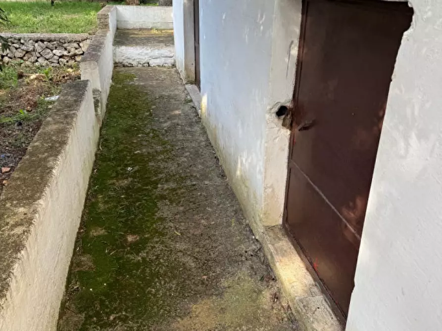 Immagine 42 di Villa in vendita  in sp581 a Ceglie Messapico