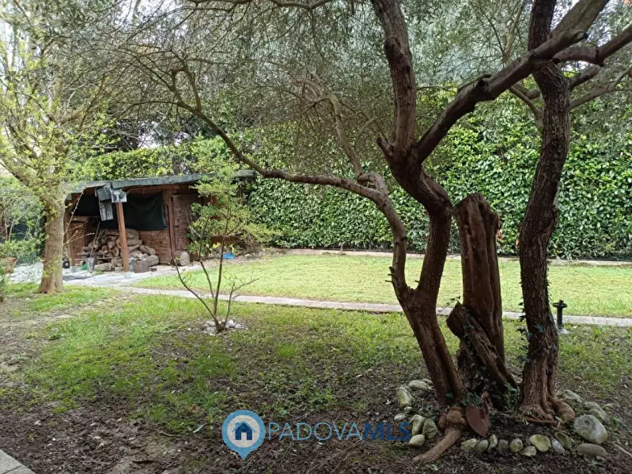 Immagine 2 di Casa bifamiliare in vendita  in Via Friuli a Selvazzano Dentro