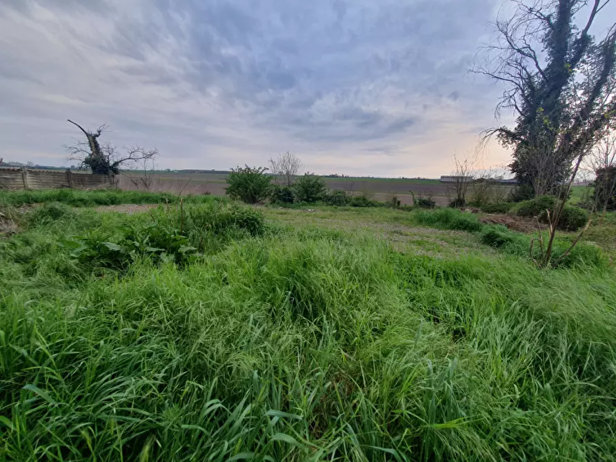 Immagine 10 di Casa bifamiliare in vendita  in Via Val Chiesa, 6 a Pozzonovo