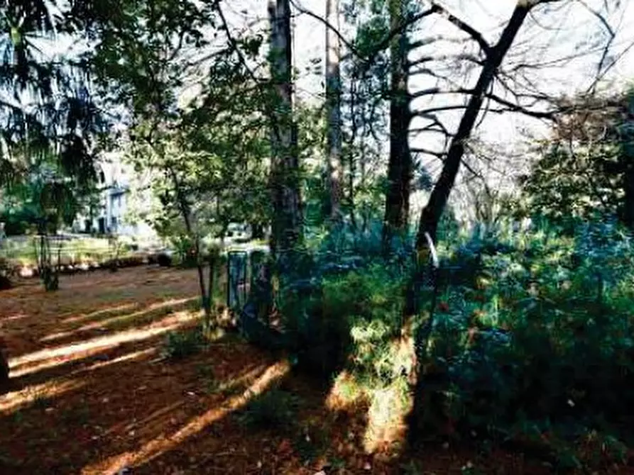 Immagine 6 di Villa in vendita  in Viale Camillo Benso Conte di Cavour, 99 a Vittorio Veneto