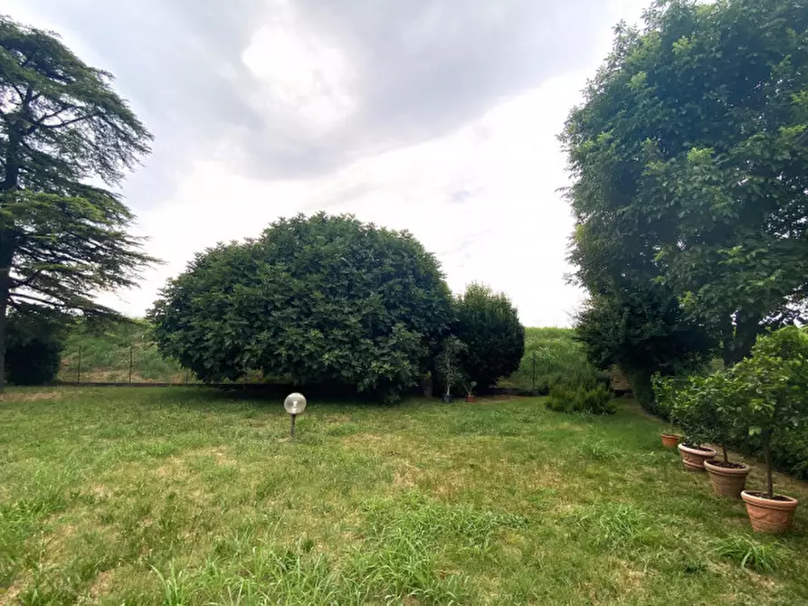 Immagine 3 di Appartamento in vendita  in Via San Giacomo 40 a Monselice