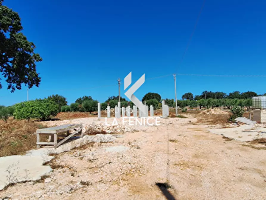 Immagine 11 di Villa in vendita  in contrada Nunzio a Locorotondo