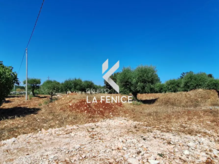 Immagine 36 di Villa in vendita  in contrada Nunzio a Locorotondo