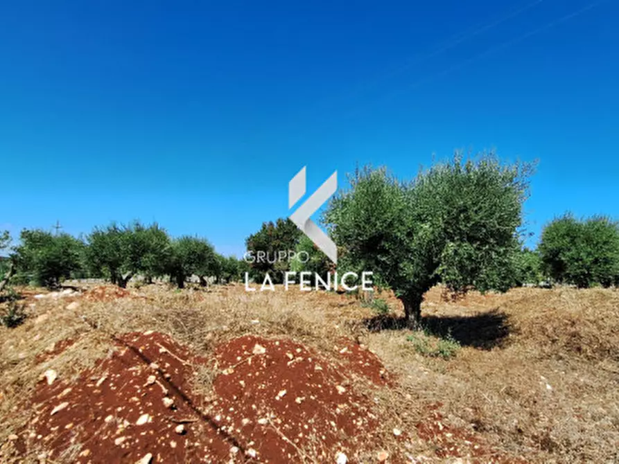 Immagine 37 di Villa in vendita  in contrada Nunzio a Locorotondo