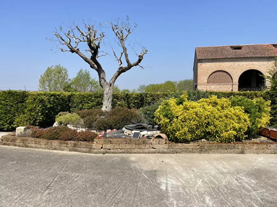 Immagine 28 di Casa indipendente in vendita  in Via Gorzone Sinistro Superiore a Stanghella