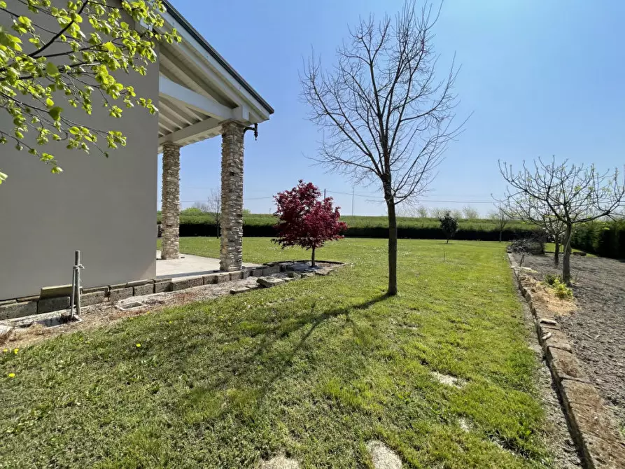 Immagine 30 di Casa indipendente in vendita  in Via Gorzone Sinistro Superiore a Stanghella