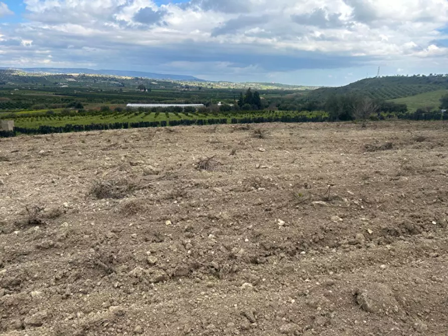 Immagine 2 di Terreno in vendita  a Noto