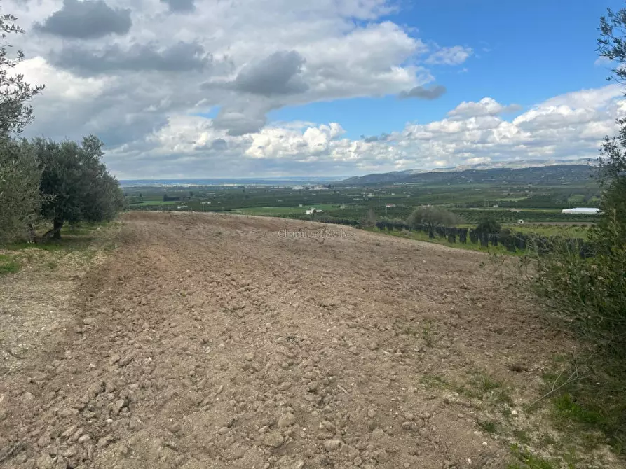 Immagine 3 di Terreno in vendita  a Noto