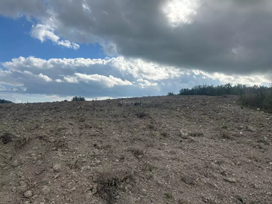 Immagine 4 di Terreno in vendita  a Noto