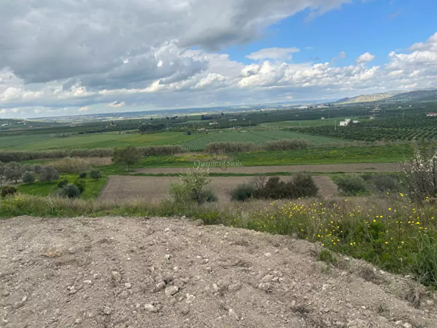 Immagine 6 di Terreno in vendita  a Noto