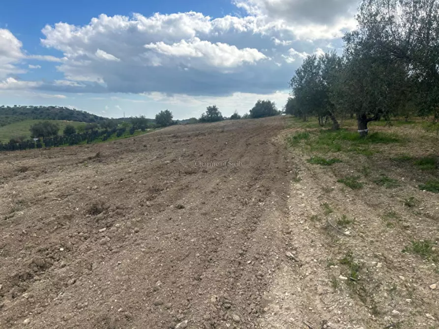 Immagine 7 di Terreno in vendita  a Noto