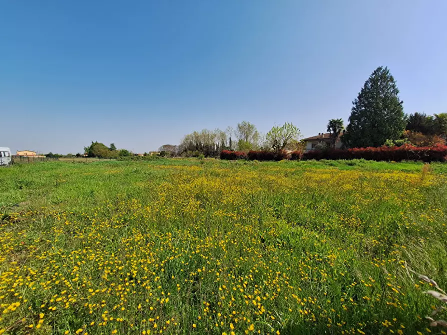 Immagine 2 di Terreno in vendita  in Via Minadois a Rovigo