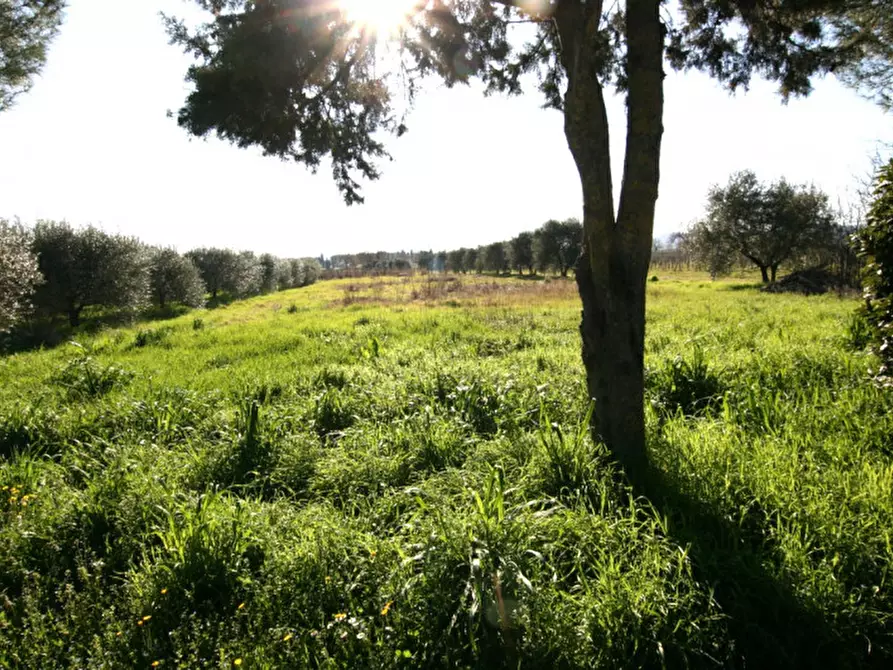 Immagine 8 di Villetta a schiera in vendita  a Montepulciano