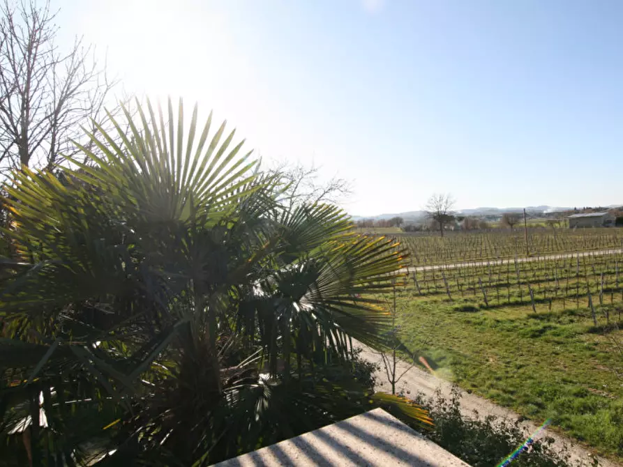 Immagine 28 di Villetta a schiera in vendita  a Montepulciano