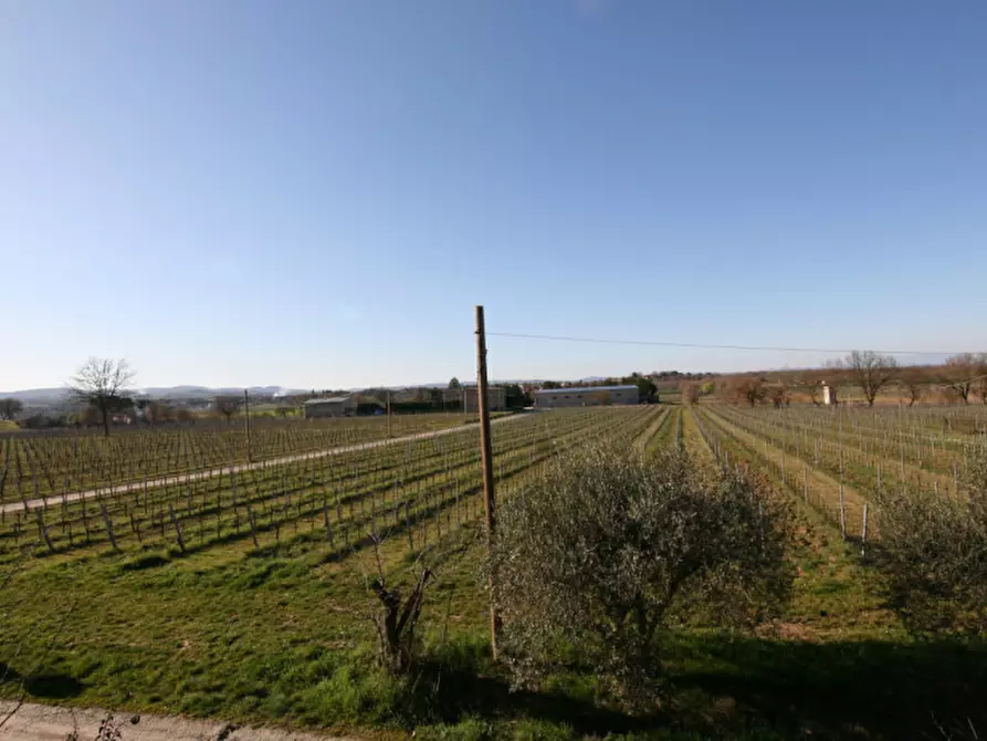 Immagine 29 di Villetta a schiera in vendita  a Montepulciano