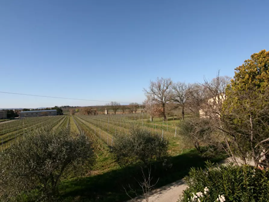 Immagine 30 di Villetta a schiera in vendita  a Montepulciano