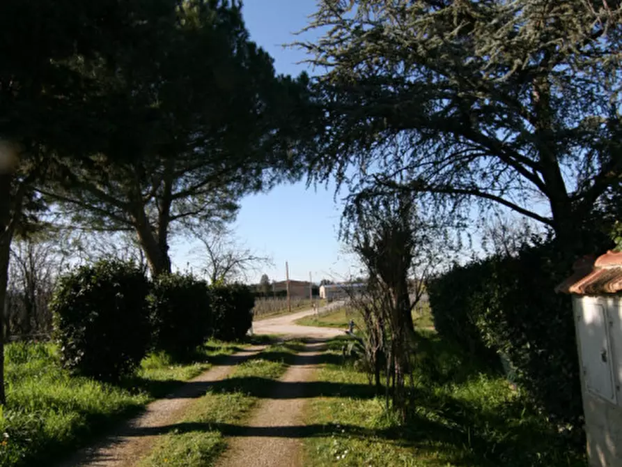 Immagine 40 di Villetta a schiera in vendita  a Montepulciano