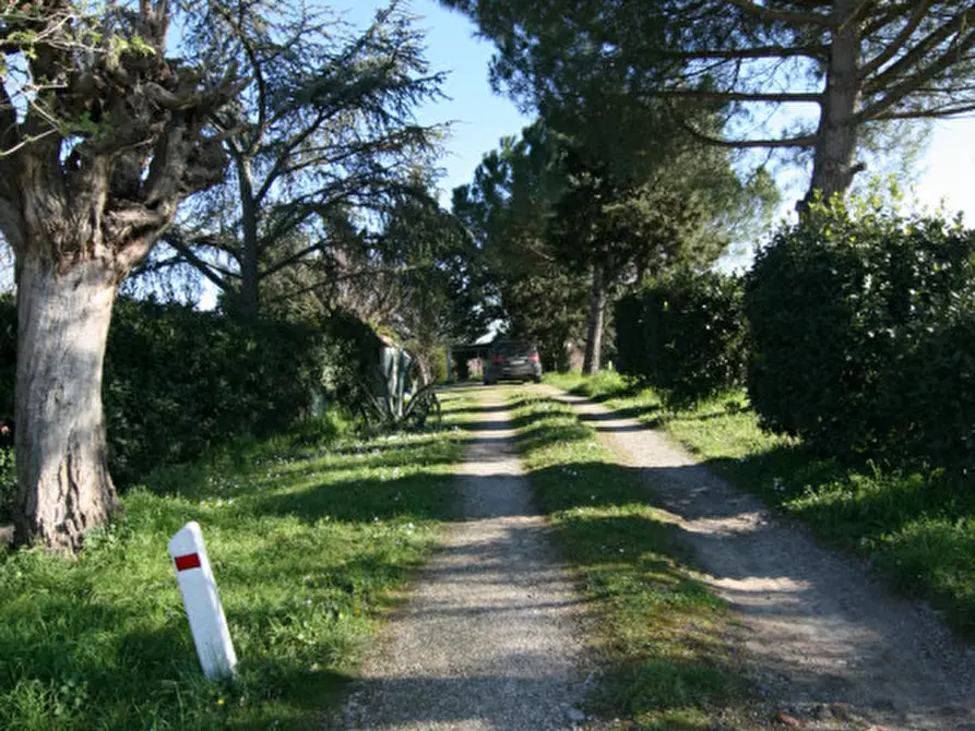 Immagine 41 di Villetta a schiera in vendita  a Montepulciano