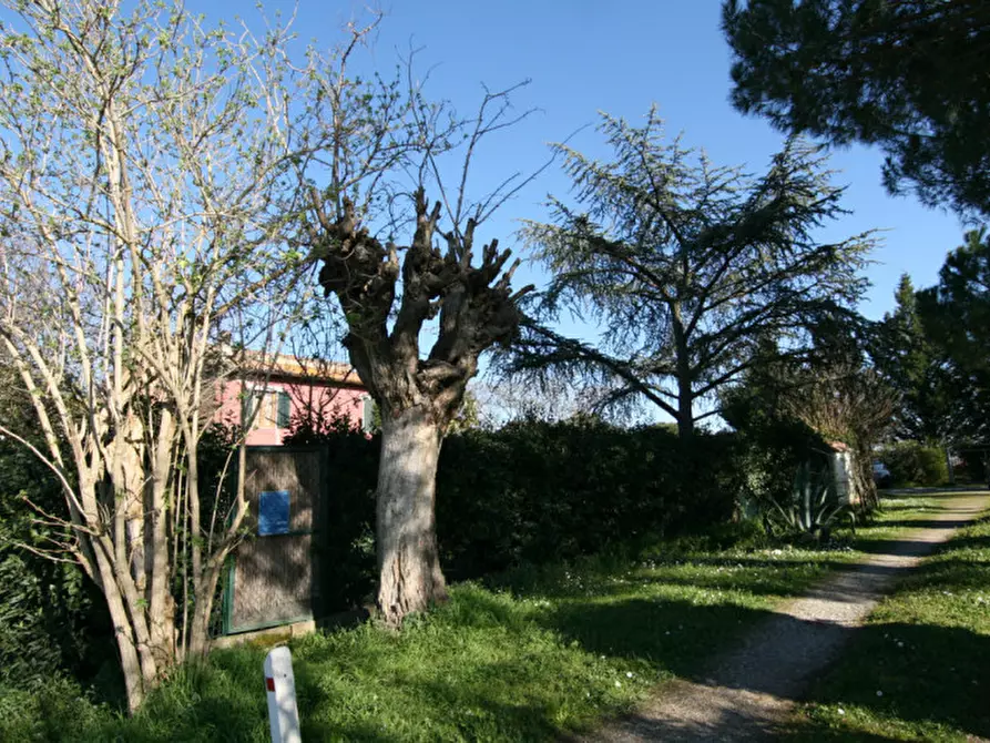 Immagine 42 di Villetta a schiera in vendita  a Montepulciano