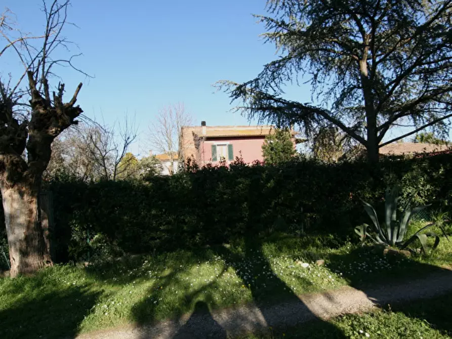 Immagine 43 di Villetta a schiera in vendita  a Montepulciano