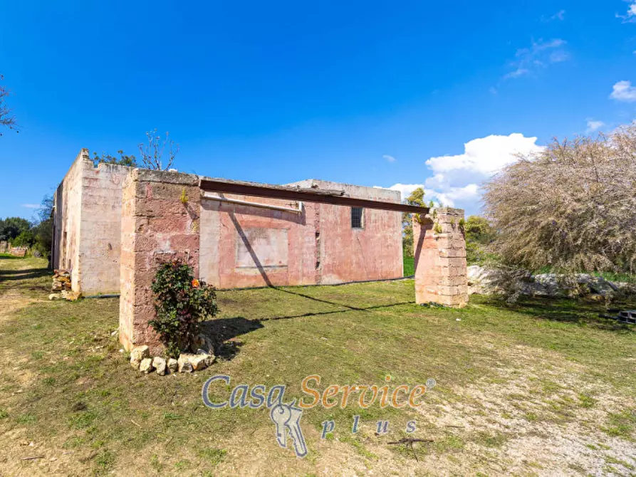 Immagine 3 di Terreno in vendita  in Via Provinciale per Alezio a Sannicola