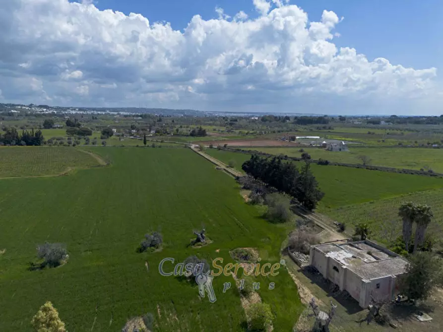Immagine 9 di Terreno in vendita  in Via Provinciale per Alezio a Sannicola