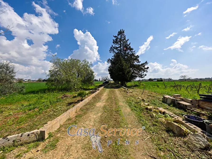 Immagine 11 di Terreno in vendita  in Via Provinciale per Alezio a Sannicola