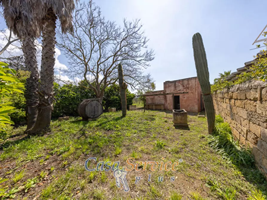 Immagine 15 di Terreno in vendita  in Via Provinciale per Alezio a Sannicola