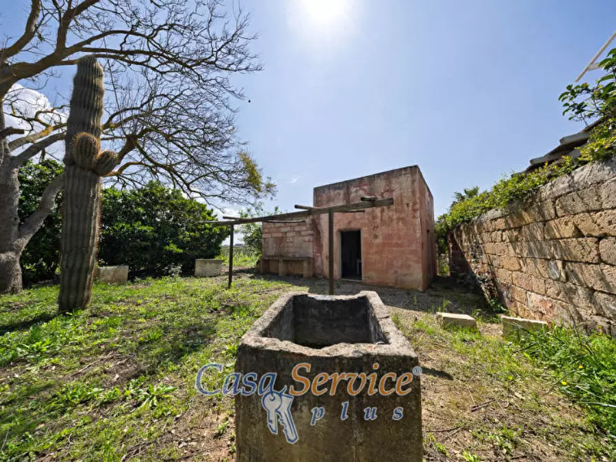 Immagine 16 di Terreno in vendita  in Via Provinciale per Alezio a Sannicola